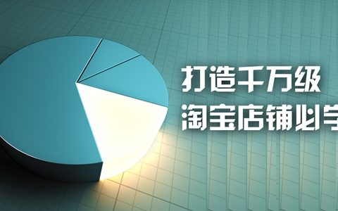 零基础无经验成为淘宝运营高手教材（下篇）