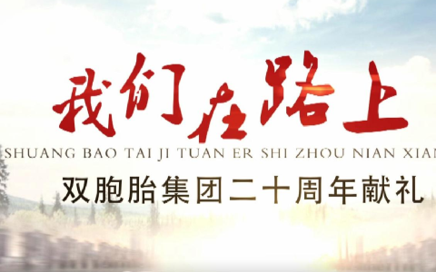 双胞胎集团《我们在路上》纪录片三个时期破茧年后涅槃视频完整版及观后感心得写作参考
